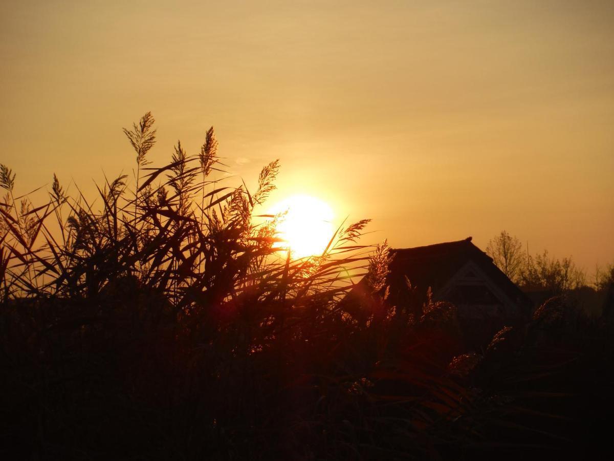 Pfahlbau Sunset I Toplage Elektroboot Inklusive Rust Exteriör bild